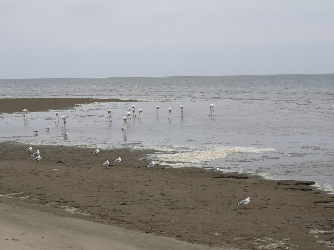 Long Beach Leisure Park-华维斯湾必去景点