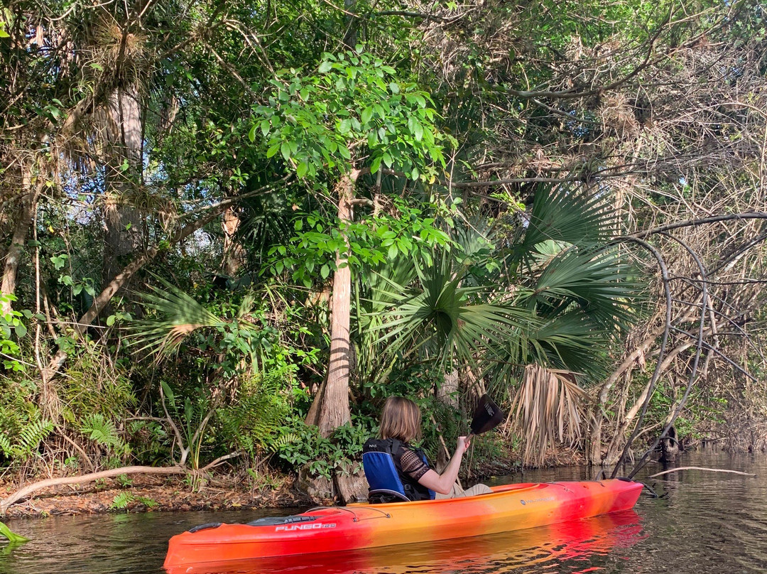 Everglades Adventures Kayak & Eco Tours-大沼泽地必去景点