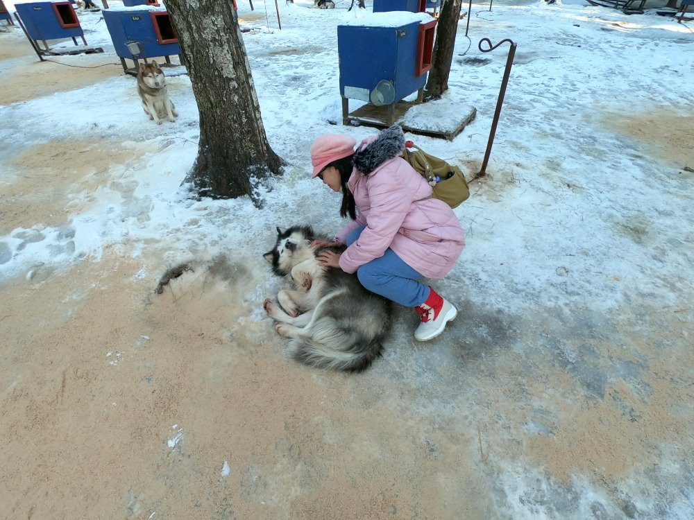 Arctic Village景点图片