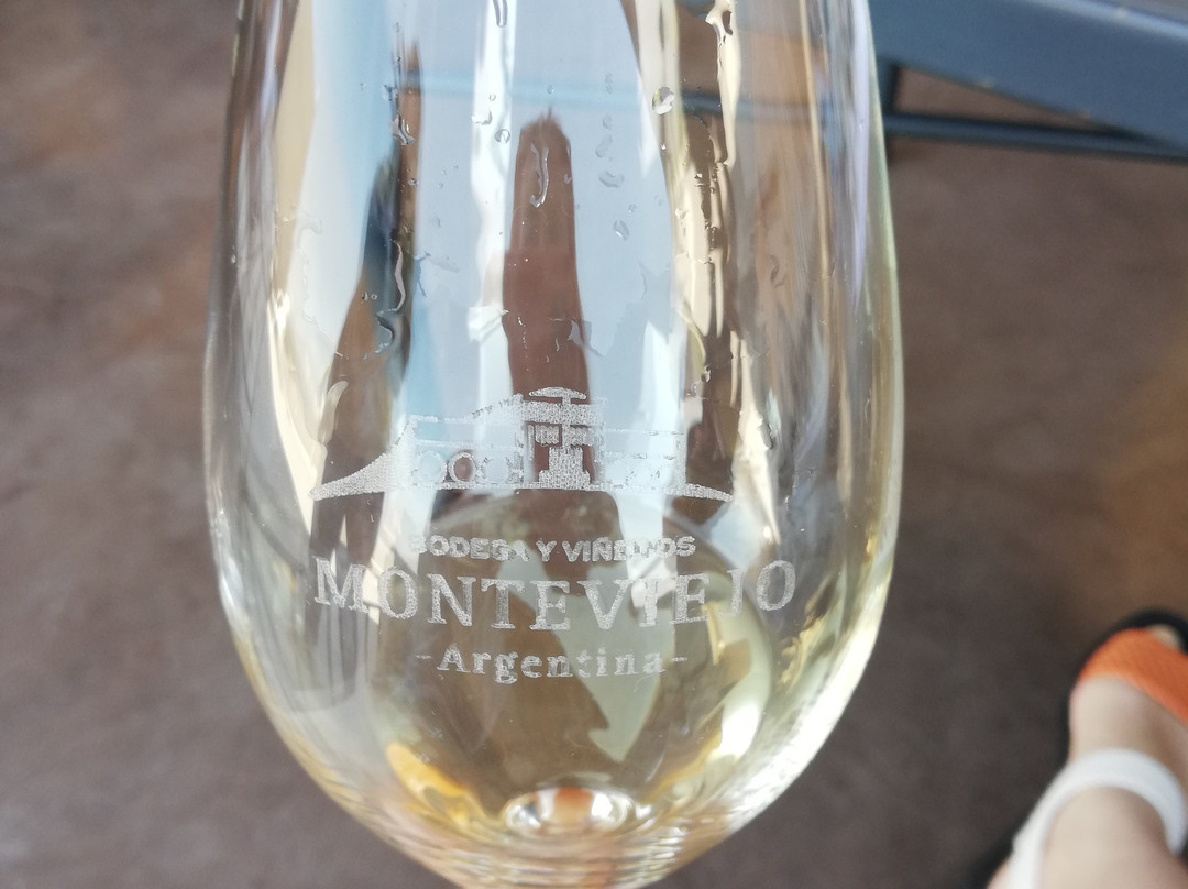 Bodega Y Vinedos Monteviejo景点图片