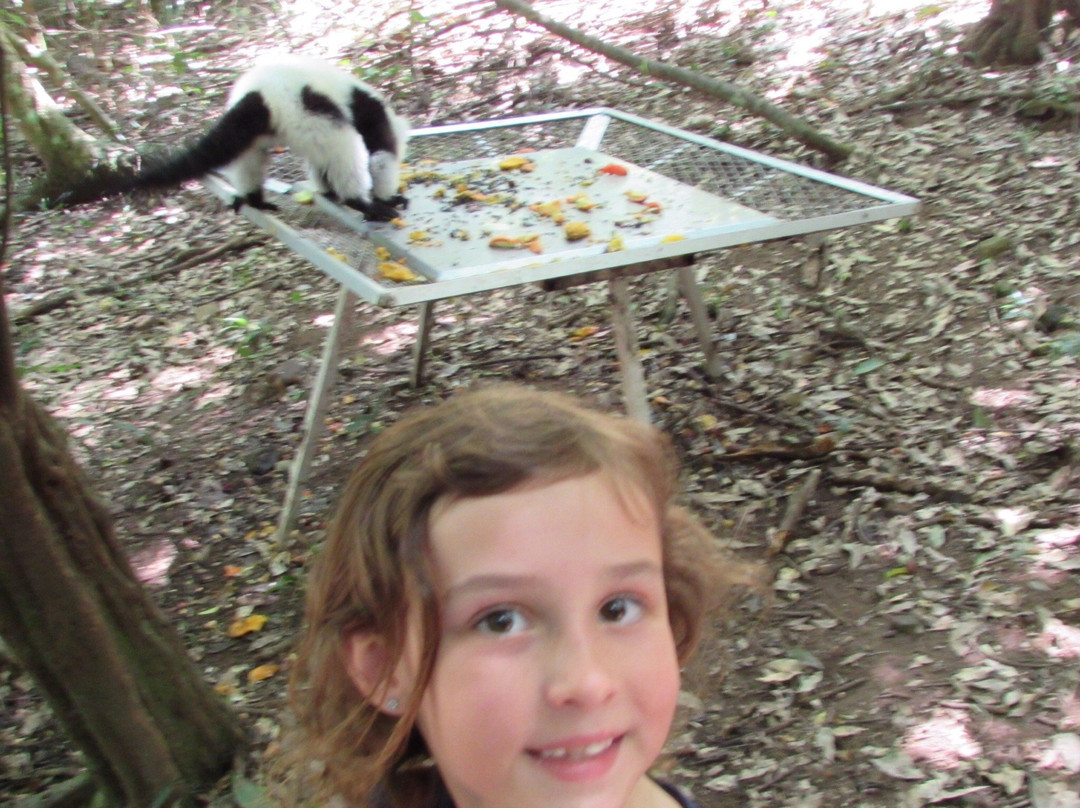 The Hidden Forest Wildlife Sanctuary-巴利托必去景点