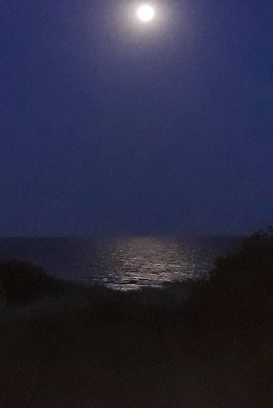 Hotel Costanera Mar主图