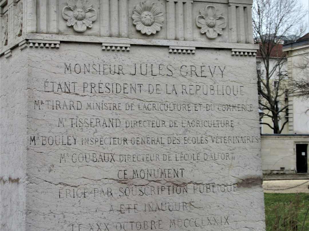 Statue de Claude Bourgelat景点图片