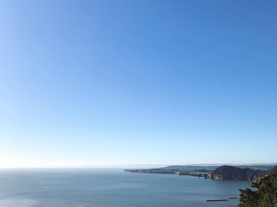 Salcombe Hill Walk-西德茅斯必去景点
