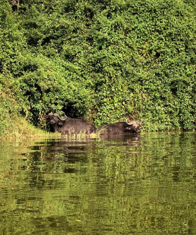 Lake Mburo National Park-Mbarara必去景点