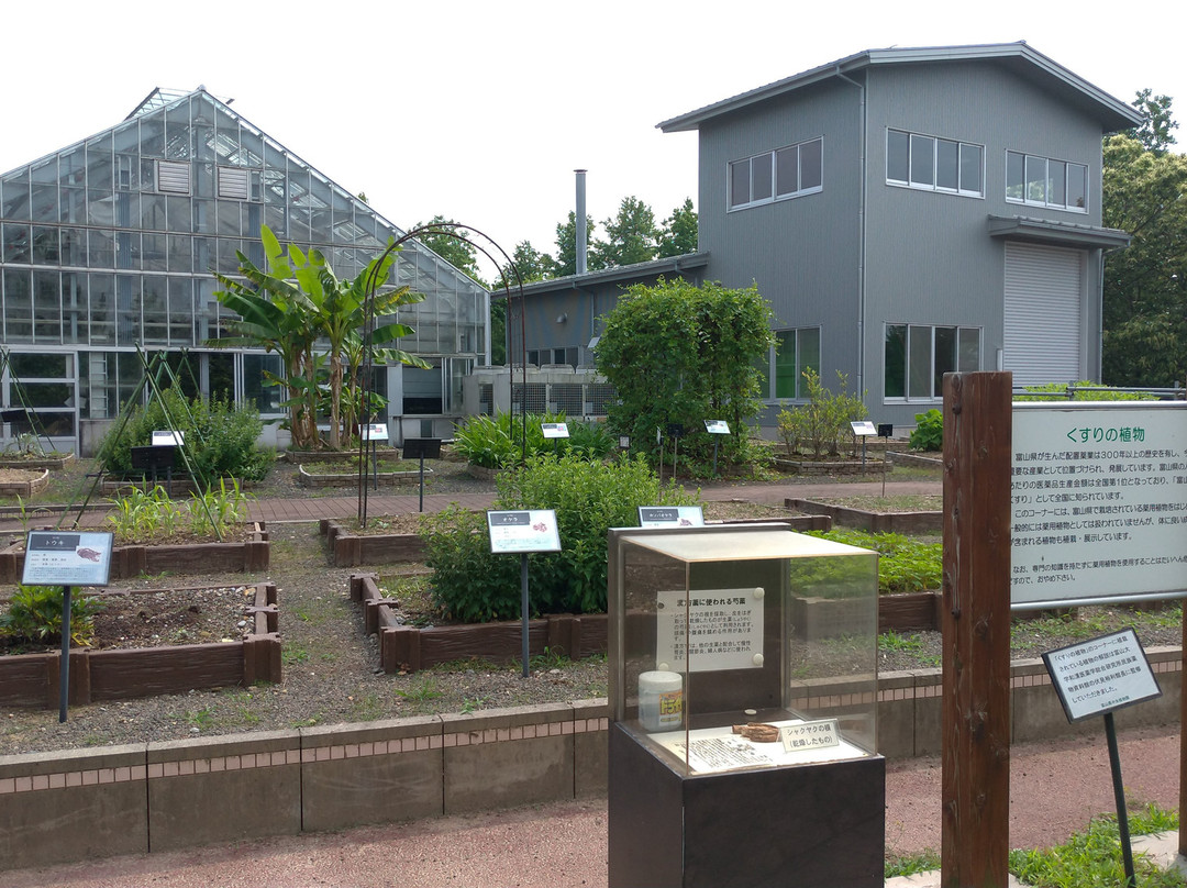 Botanic Gardens of Toyama-富山市必去景点