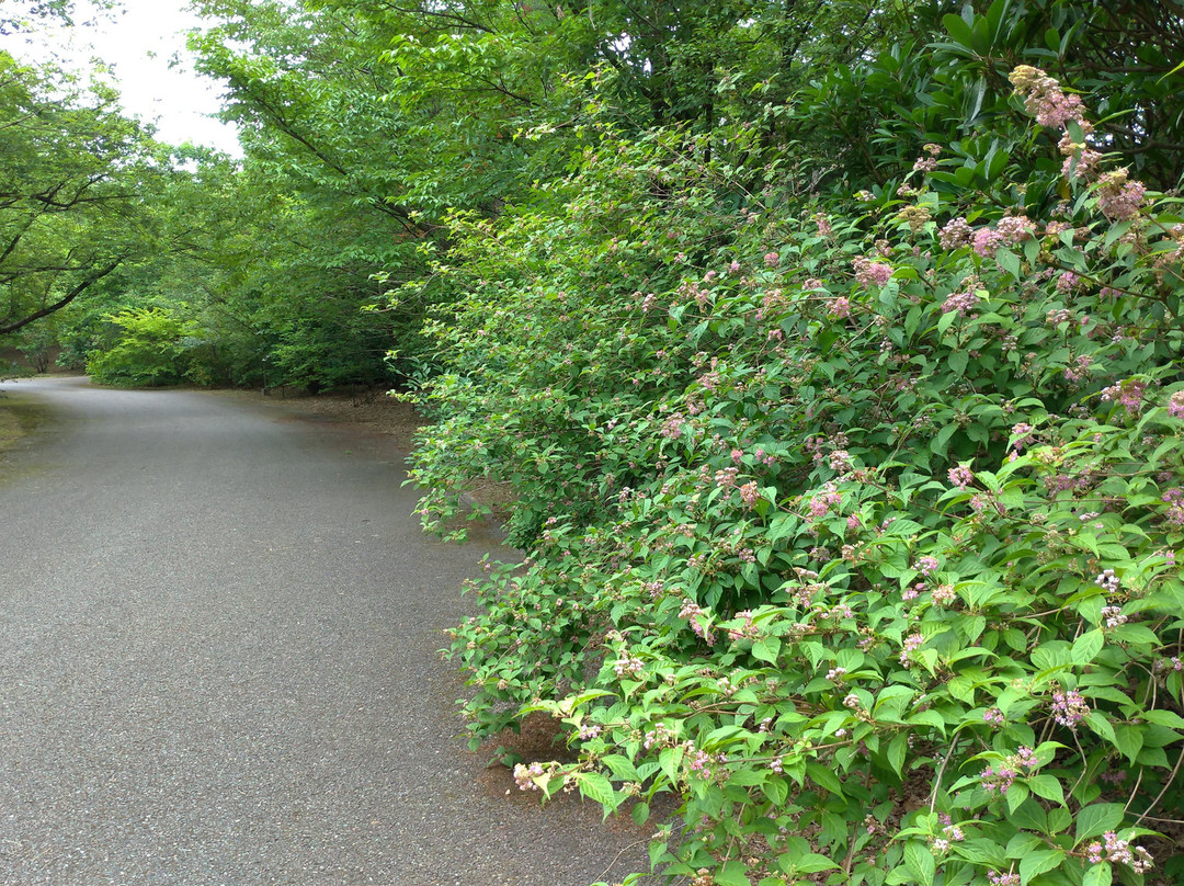Botanic Gardens of Toyama-富山市必去景点
