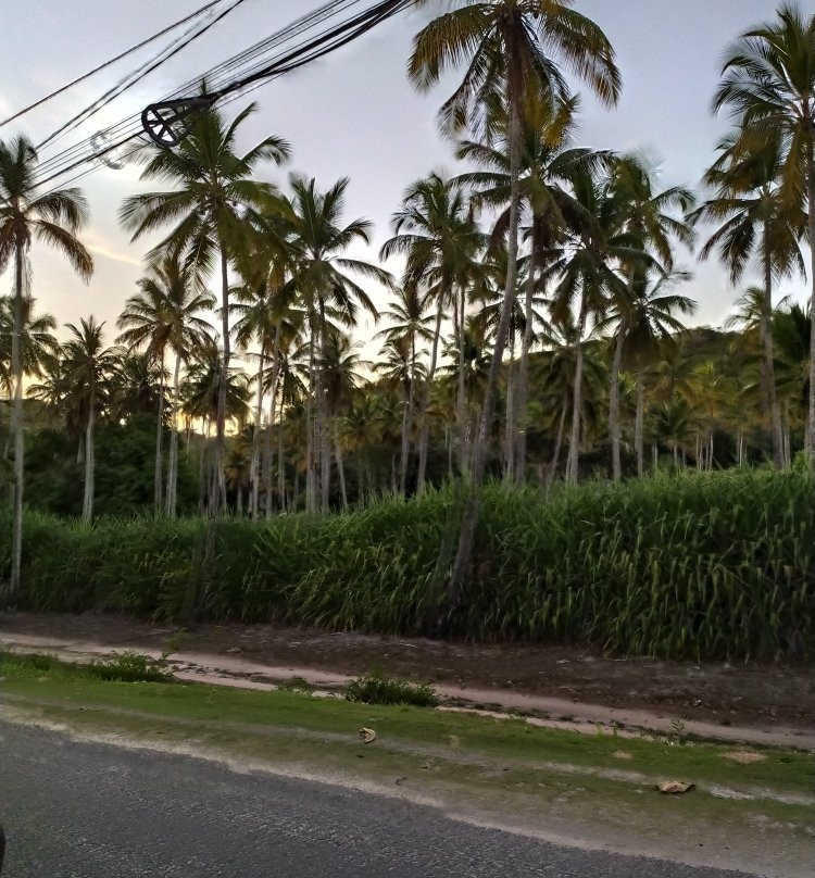 Praia Mundaí-Porto Seguro必去景点