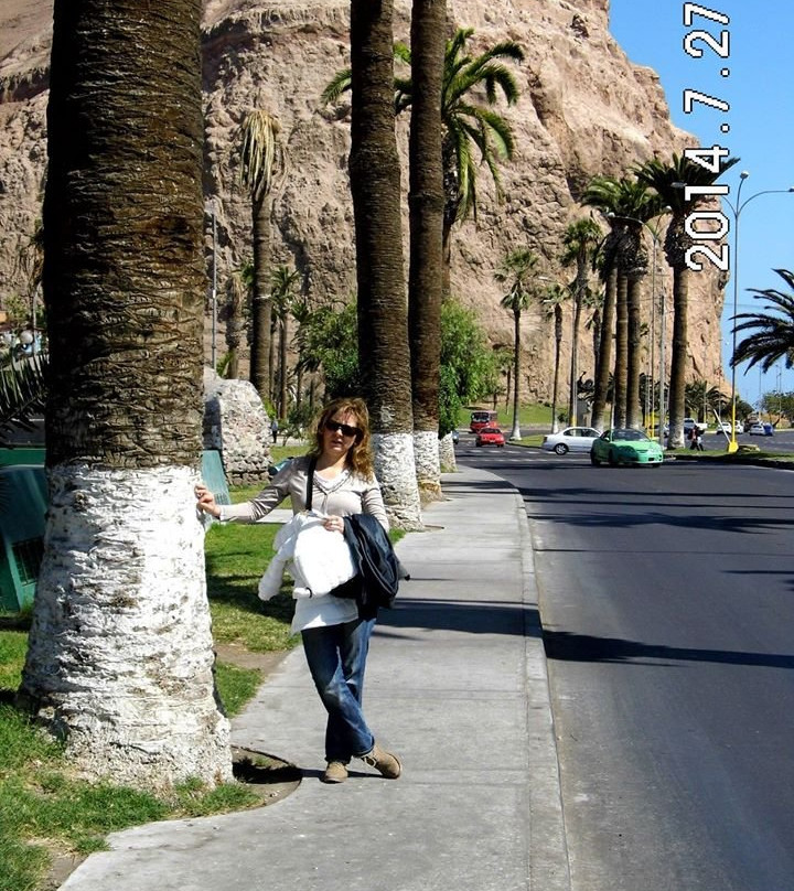 Morro de Arica-阿里卡必去景点