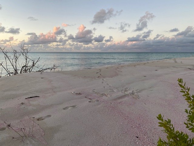 Barbuda Belle Luxury Beach Hotel-浴室