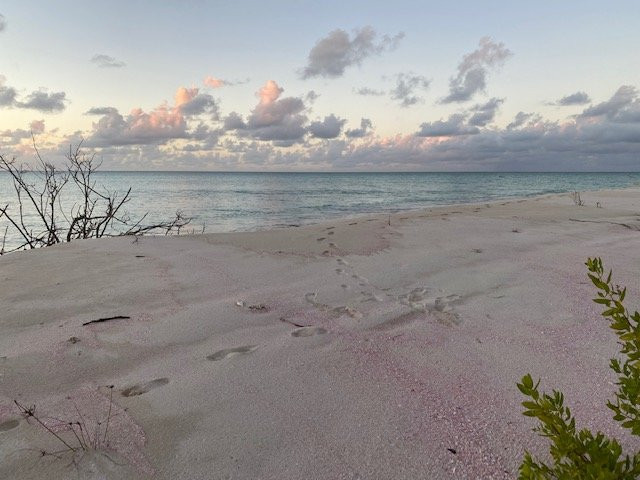 Barbuda Belle Luxury Beach Hotel主图