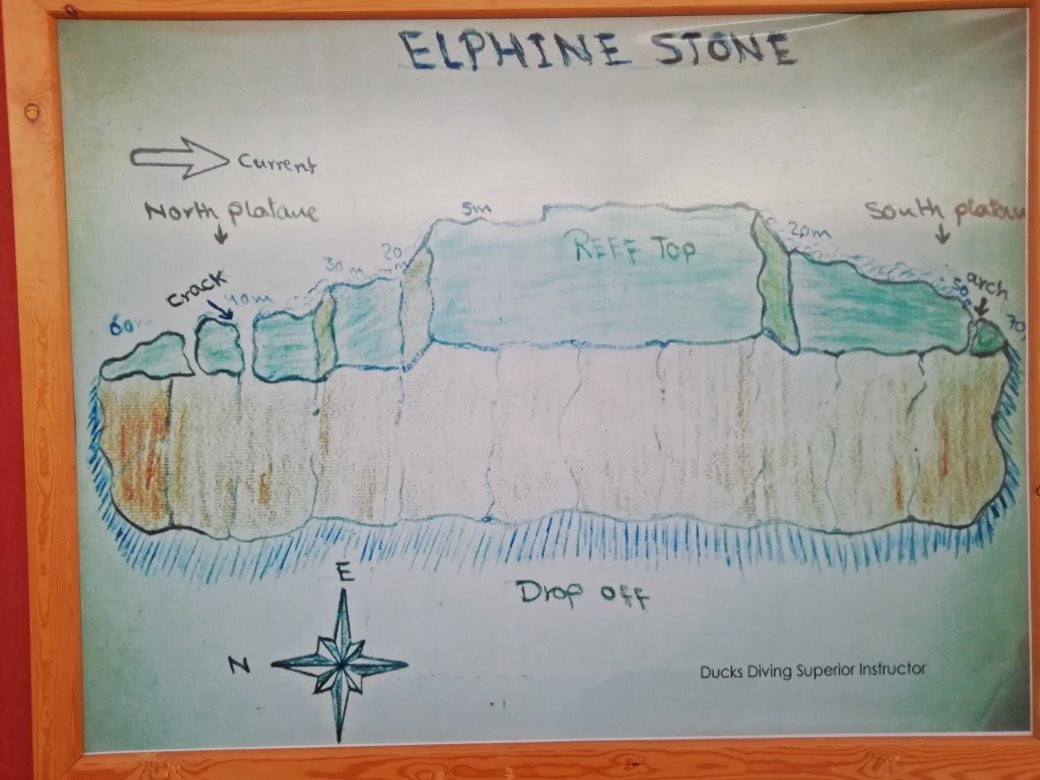 Elphinstone Reef-马萨阿拉姆必去景点