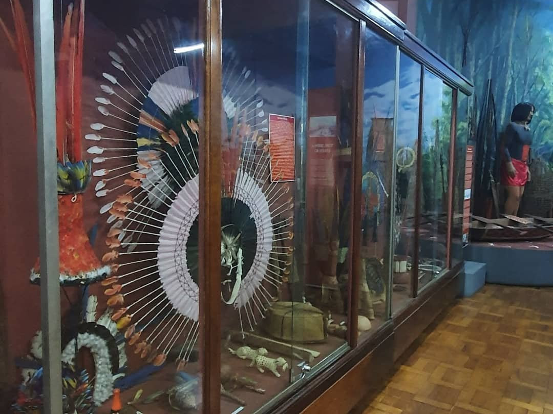 Museu Goiano Zoroastro Artiaga-戈亚尼亚必去景点