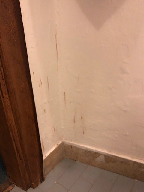 Hotel Rosa Serenella主图