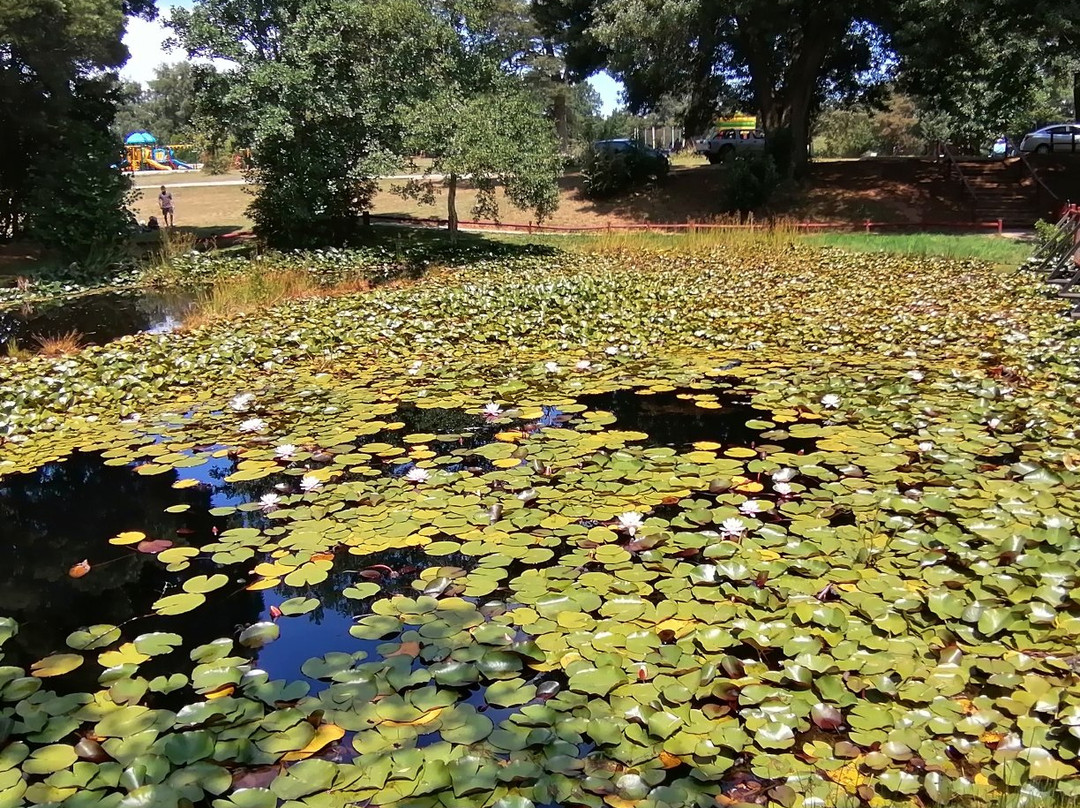 Laguna de los Lotos景点图片