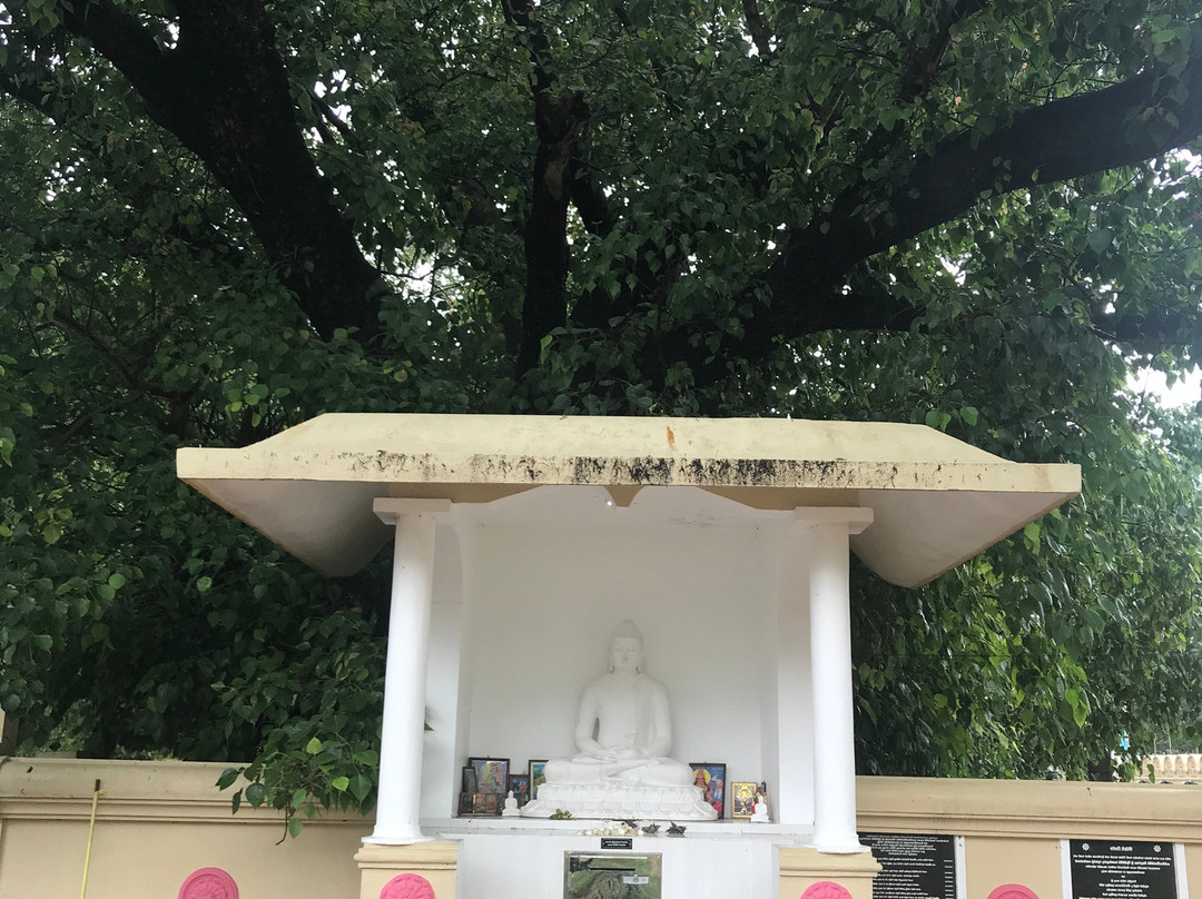 Mahiyangana Raja Maha Viharaya-Mahiyanganaya必去景点