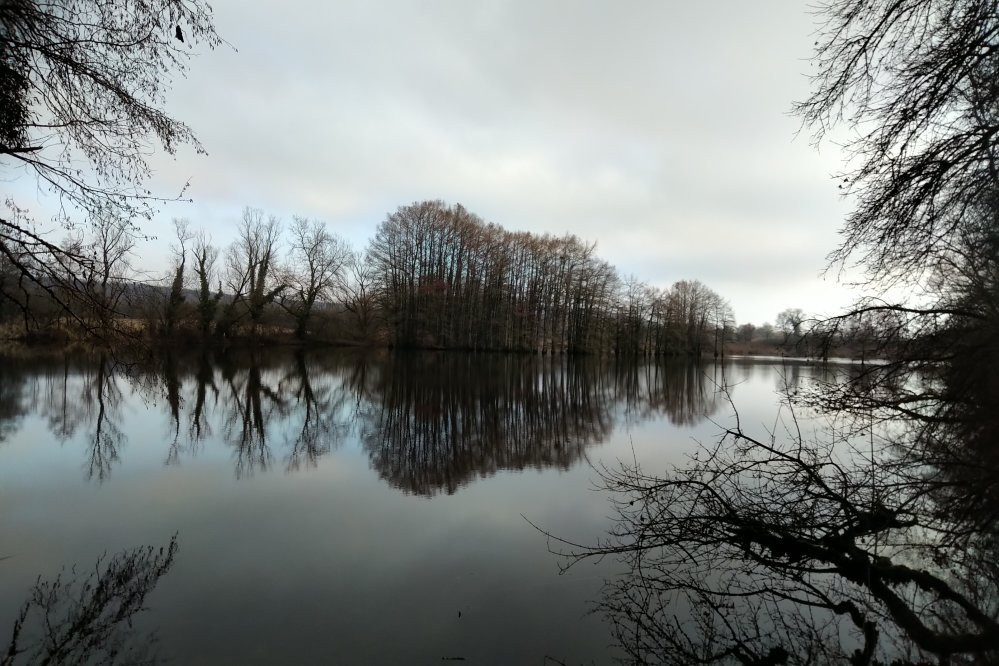 Etang de Boulieu景点图片