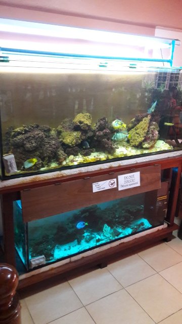 PromTong Mansion-官方