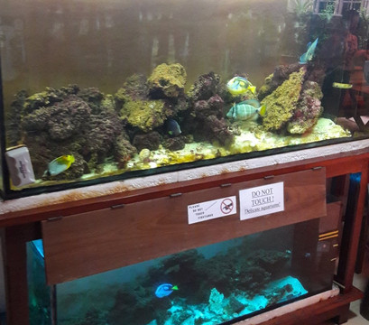 PromTong Mansion主图