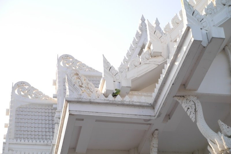 Royal Thai Monastery-蓝毗尼必去景点