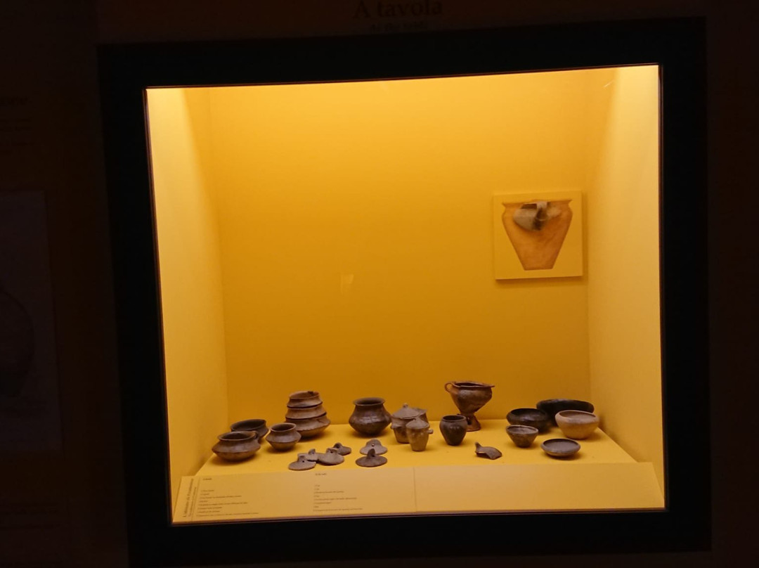 Museo Archeologico Nazionale di Fratta Polesine-Fratta Polesine必去景点
