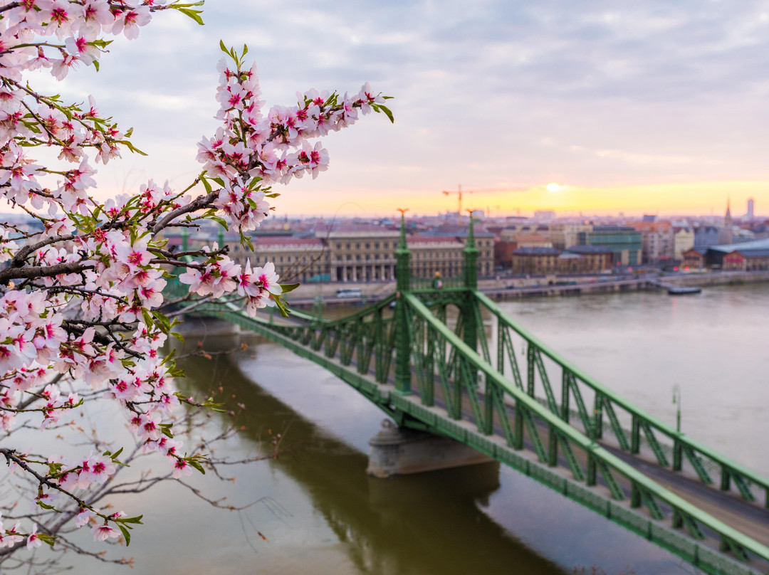 Splendid Budapest Tours景点图片