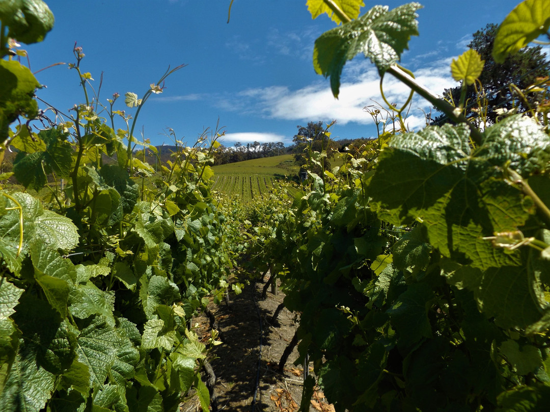 Huon Bikes-Huonville必去景点