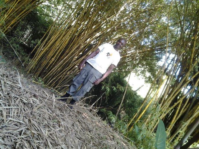 Ssezibwa River Falls-Mukono必去景点