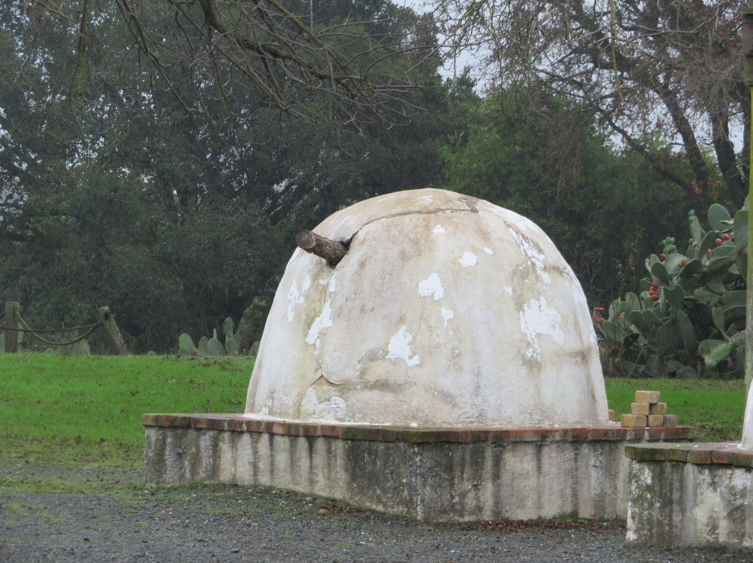 Petaluma Adobe State Historic Park景点图片