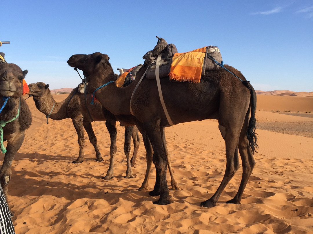 Conociendo Marruecos-梅如卡必去景点