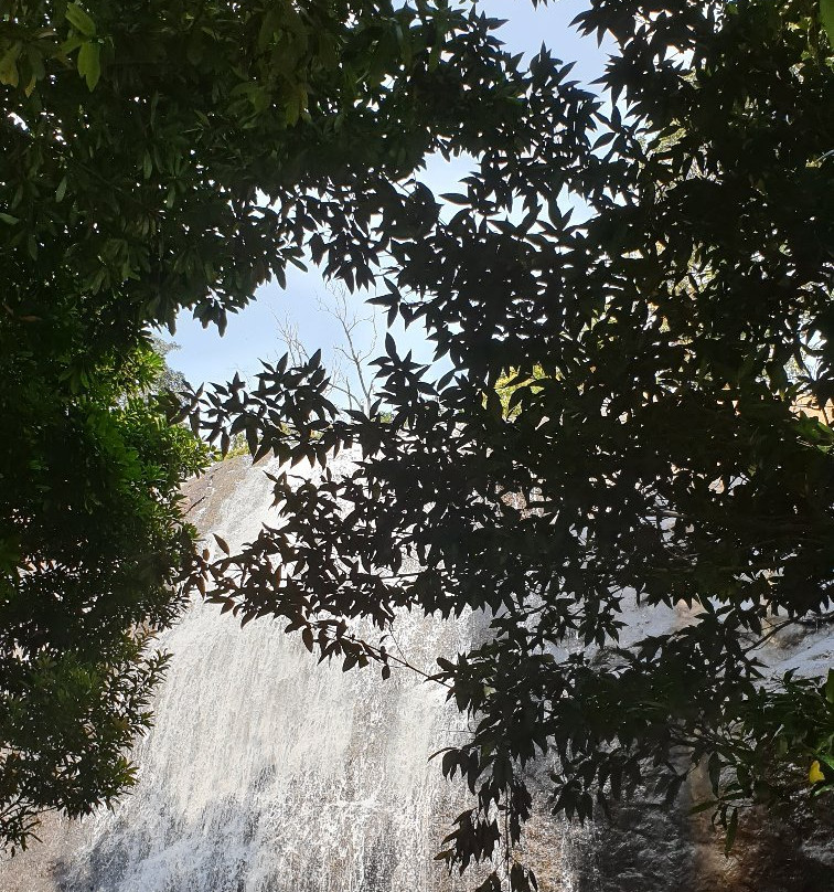 Aanachadikuth Waterfalls景点图片