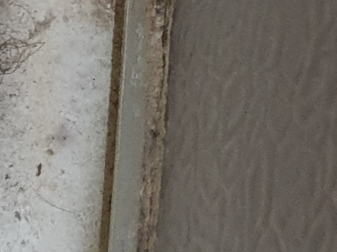 Arabella Motor Inn主图