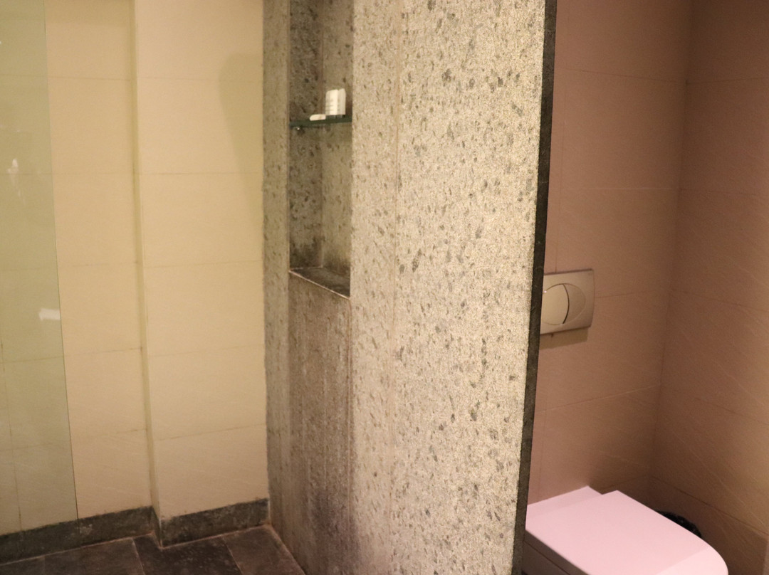 Hyatt Place Hampi主图