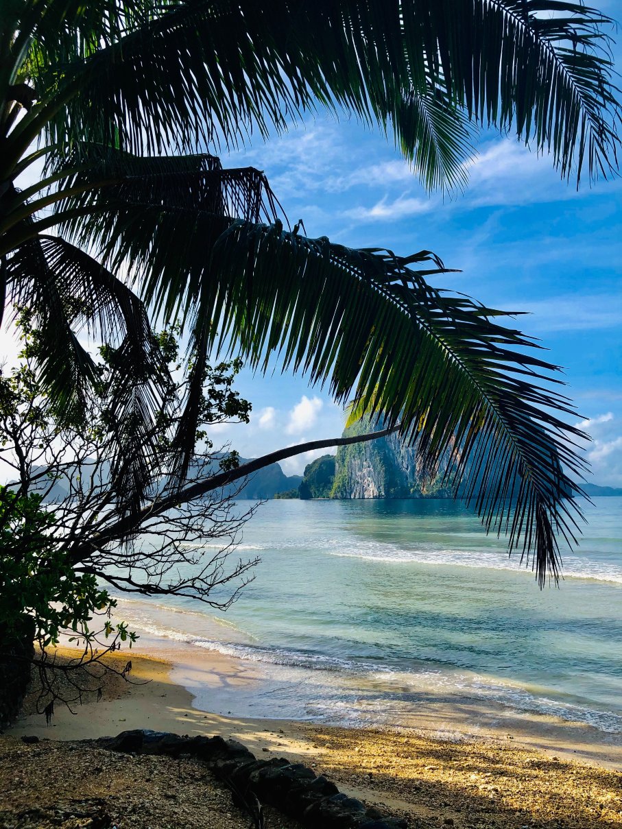 多拉洛格海滩度假村-泳池