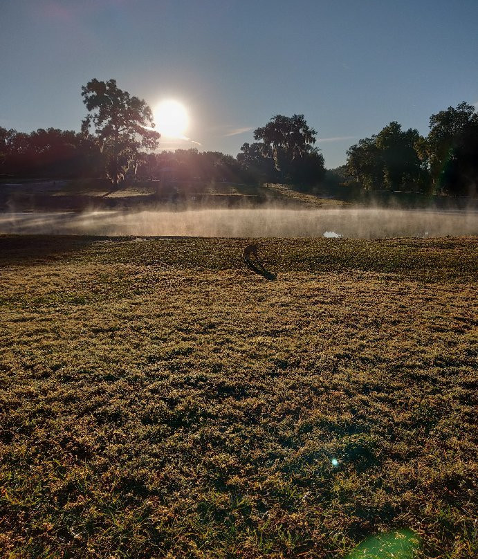 Barkley Square Dog Park-迪兰必去景点