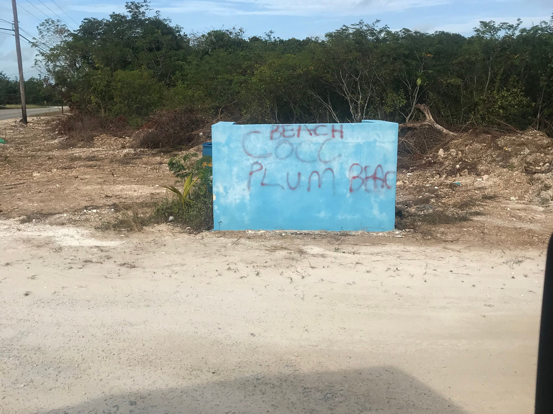 大岛Spa首选度假村主图