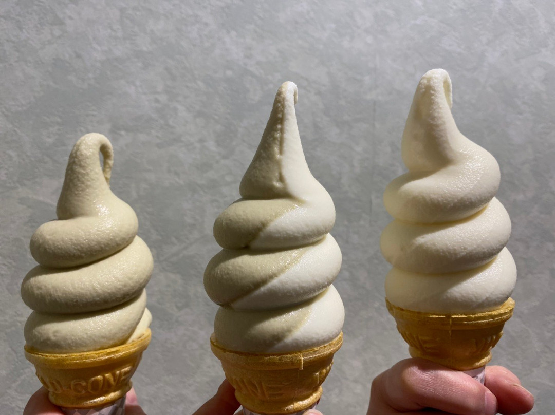 北海道昆布馆-七饭町必去景点