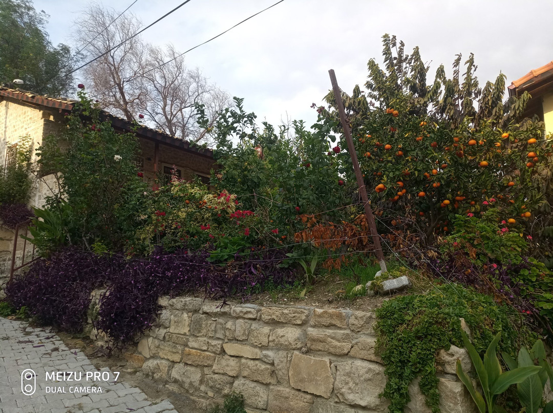 Vakifli Village景点图片