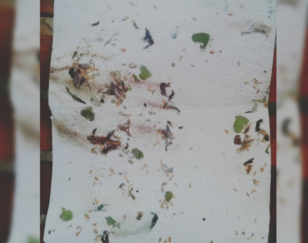 Quillota旅游攻略图片