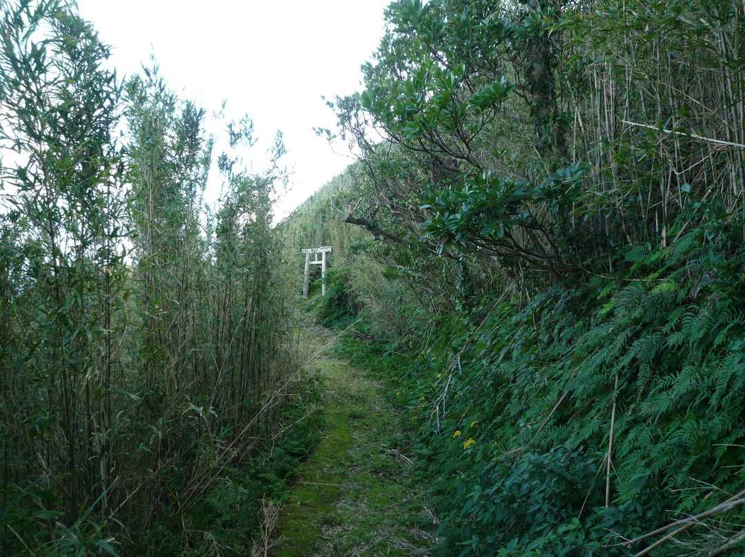 Osato Shrine-青岛必去景点