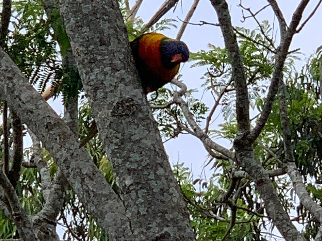 塔姆柏林山住宿加早餐酒店主图