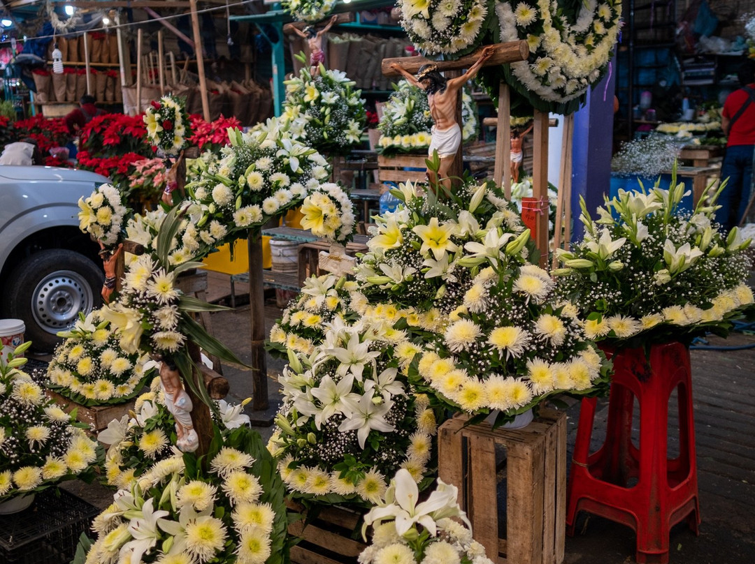 Mercado de Jamaica-墨西哥城必去景点