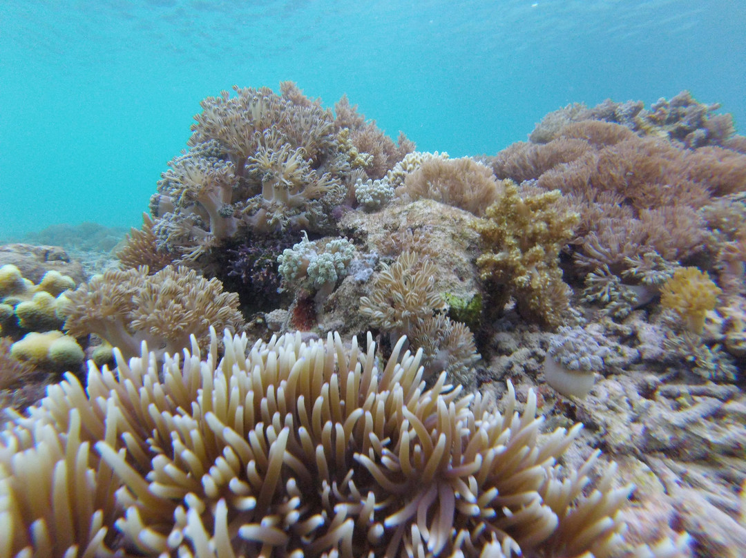 Batu Bolong Reef景点图片