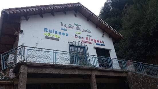 Ruisseau des singes景点图片