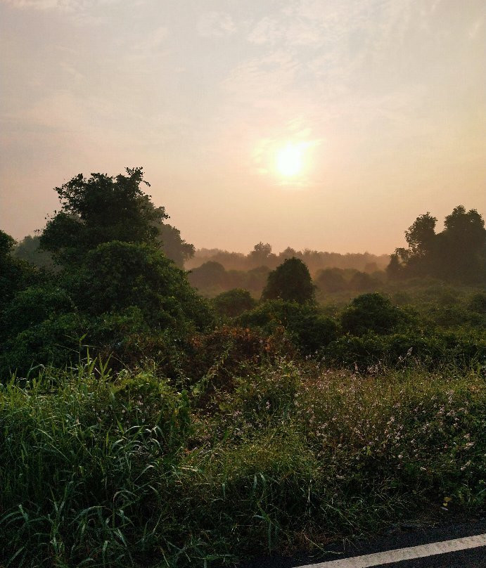 Kolshet Creek景点图片