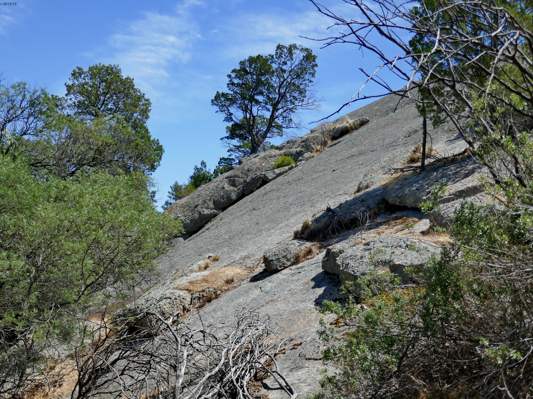 Terrick Terrick National Park-Mitiamo必去景点
