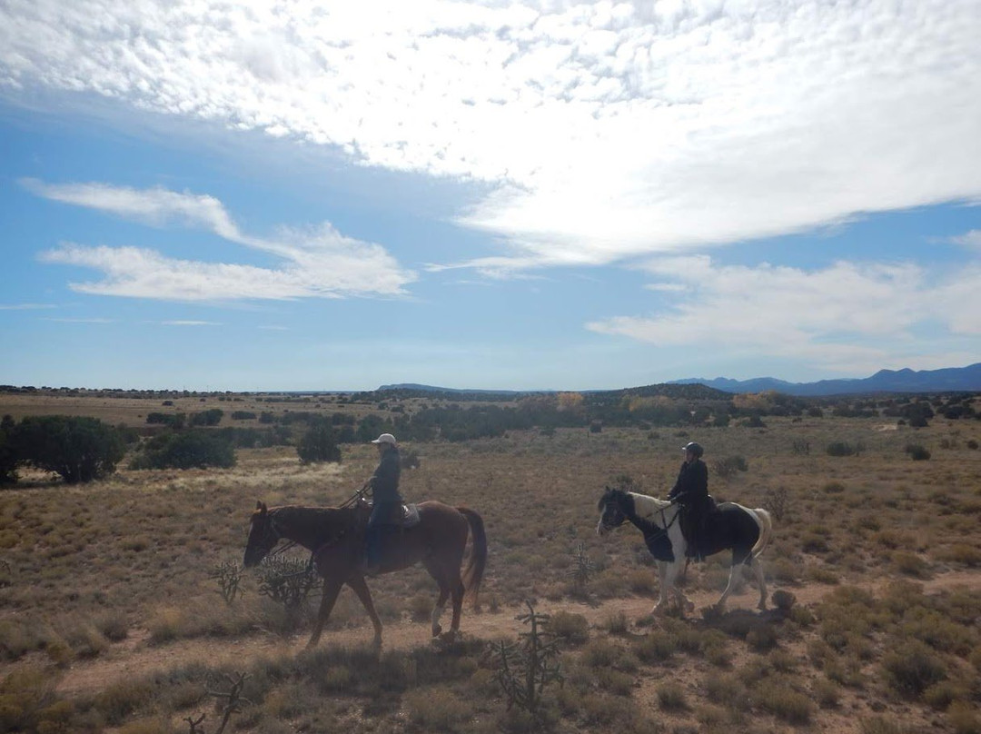 Enchantment Equitreks-Edgewood必去景点