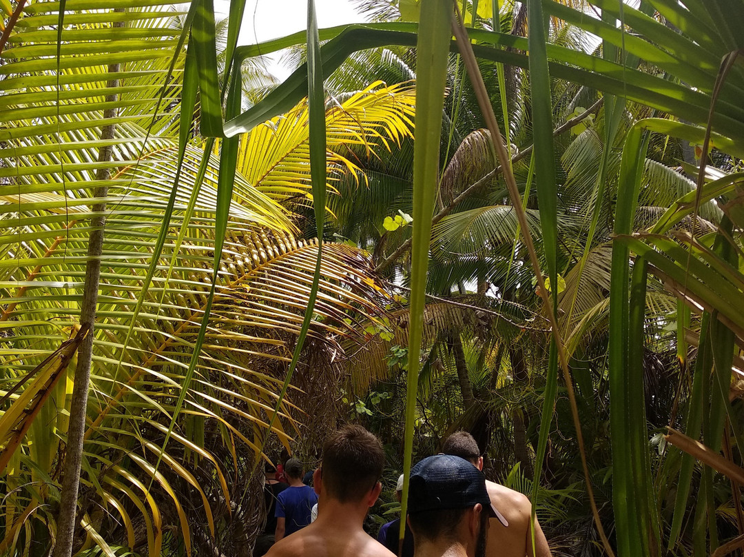 Excursion Tetiaroa-帕皮提必去景点