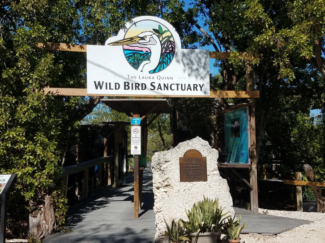 The Florida Keys Wild Bird Center景点图片