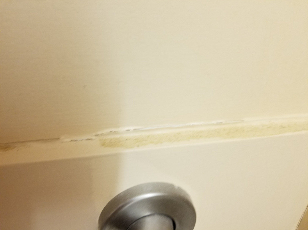 Microtel Inn & Suites By Wyndham Quincy Downtown/river Area主图